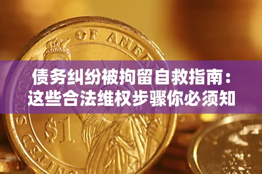 济南债务纠纷被拘留自救指南：这些合法维权步骤你必须知道！