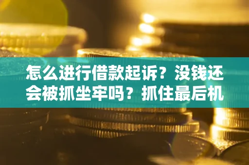 济南怎么进行借款起诉？没钱还会被抓坐牢吗？抓住最后机会！