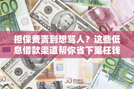 济南担保费贵到想骂人？这些低息借款渠道帮你省下冤枉钱